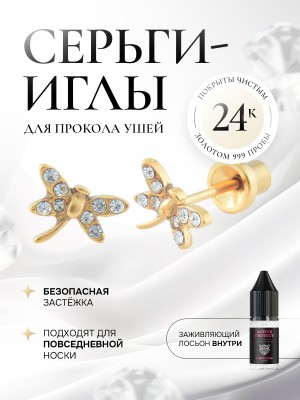 Элегантная и милая стрекозка с чистыми камнями